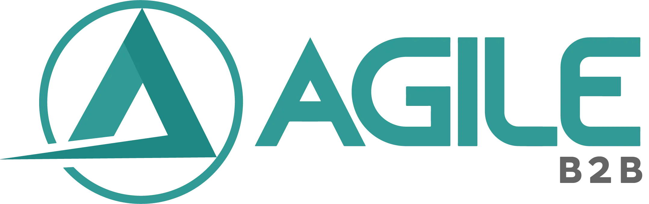 Agile E-commerce