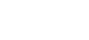 Ceitel Log